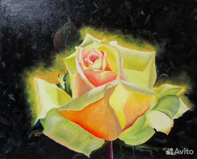Картина маслом на холсте Жёлтая роза