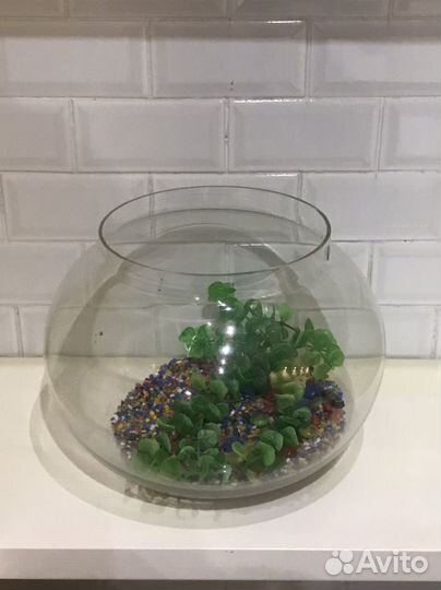 Аквариум