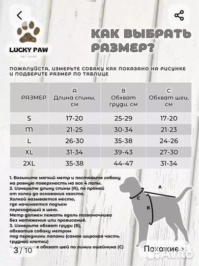 Костюм для маленькой собаки