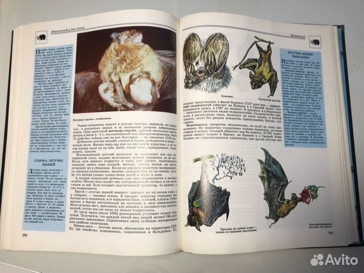 Энциклопедия для детей аванта