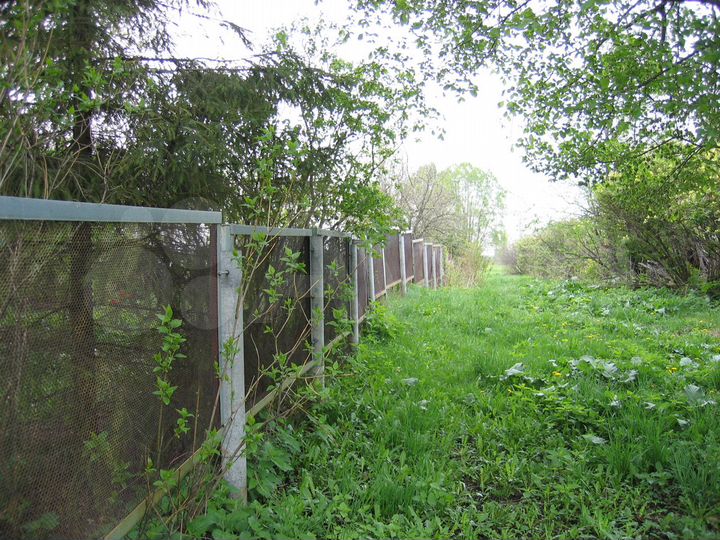 Дом 52,6 м² на участке 15 сот.