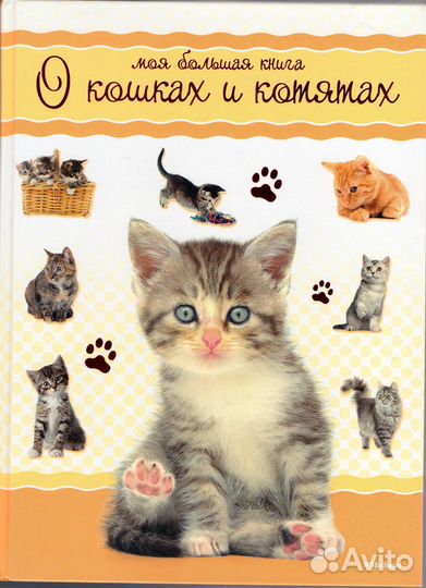 Фотоальманахи, Худож.альбомы и др. экскл. издания