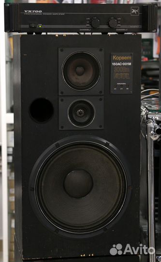 Комплект Корвет 150ас-001М и park audio VX700
