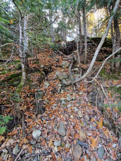 Участок 4,2 сот. (СНТ, ДНП)