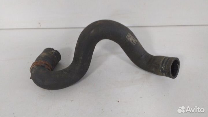 Патрубок радиатора нижний Ford Focus 2