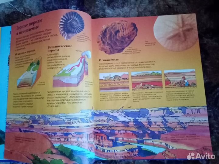 Новая Детская Энциклопедия