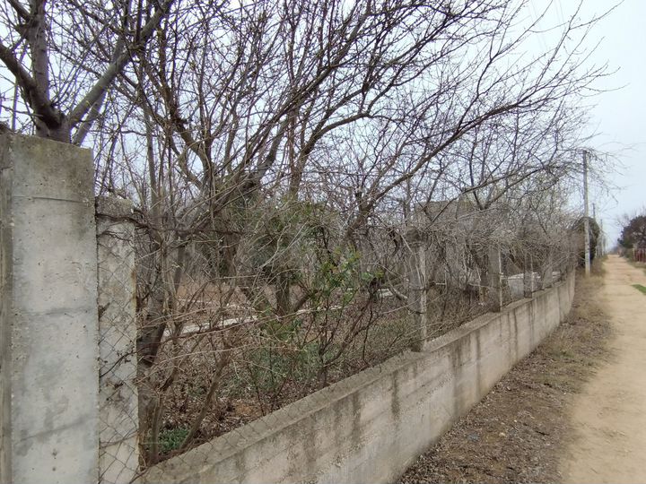 Участок 4,2 сот. (ИЖС)