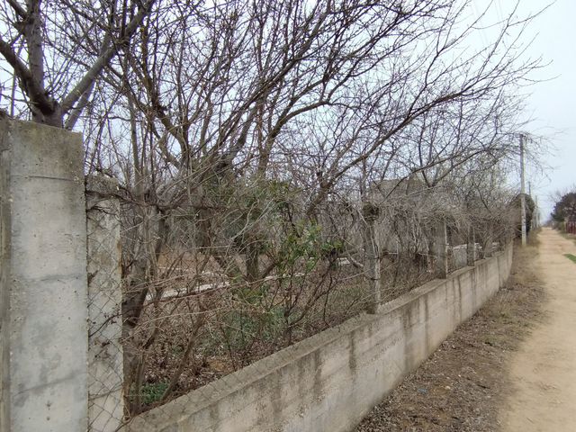 Участок 4,2 сот. (ИЖС)