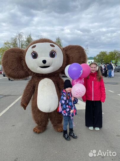 Надувные костюмы,мишка ростовая кукла,чебурашка