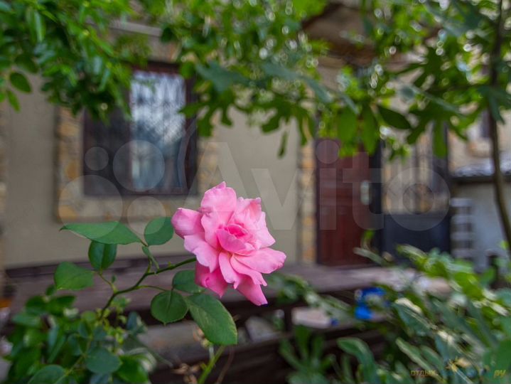 Дом 60 м² на участке 6 сот.