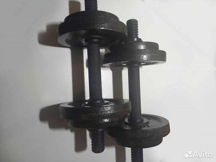 Гантели разборные Torneo