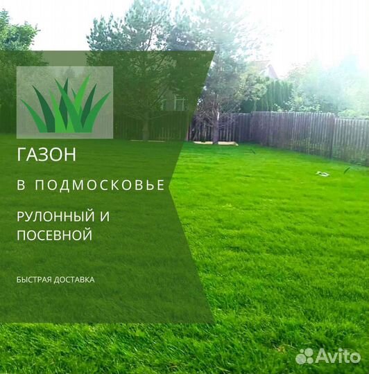 Рулонный газон