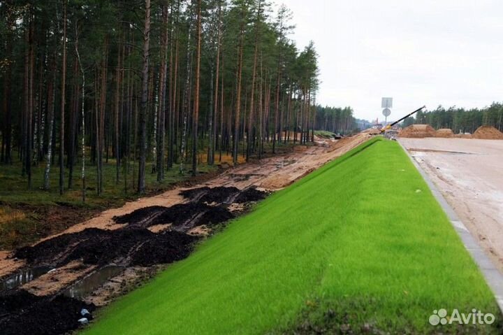 Рабочие на дорожные работы