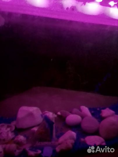 Аквариум 35литров