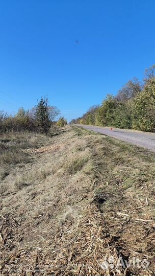 Услуги мульчера