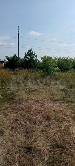 Участок 8 сот. (СНТ, ДНП)