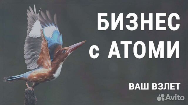 Работа в интернете