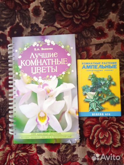 Энциклопедия комнатных растений, лучшие цветы