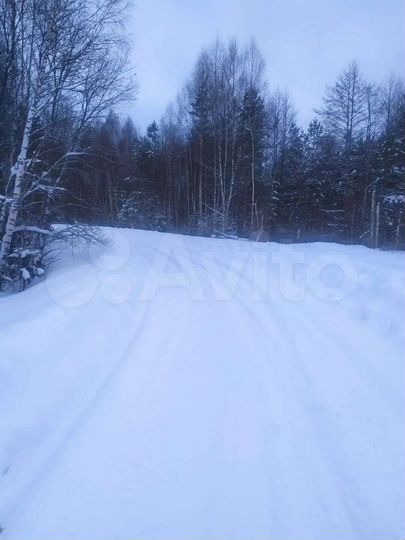 Участок 6 га (СНТ, ДНП)