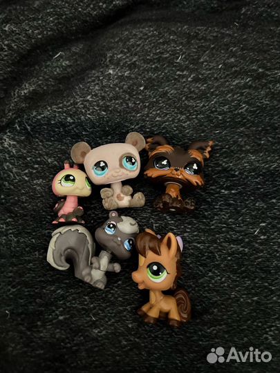 Лпс петы lps петшоп