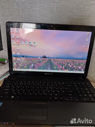 Ноутбук packard Bell