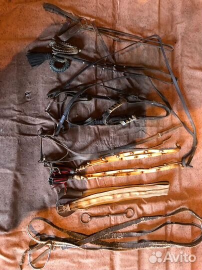 Сбруя для лошади