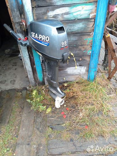 Сиа про 9.9.-15