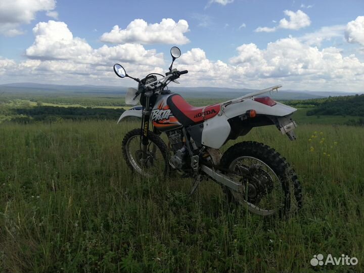 Honda xr 250 baja