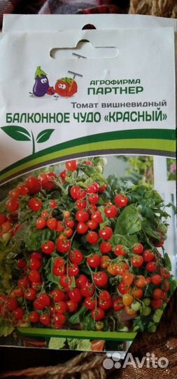 Рассада помидор и баклажан