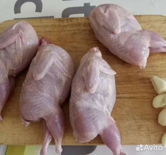 Тушки перепелов