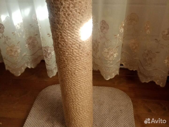 Когтеточка высокая 70см