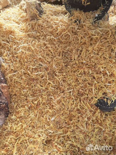 Опилки щепа