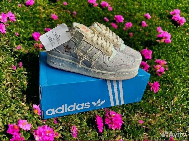 Женские кеды Adidas Forum low 84 замш