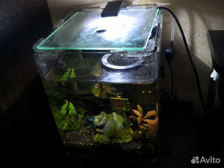 Dennerle nano cube 10л