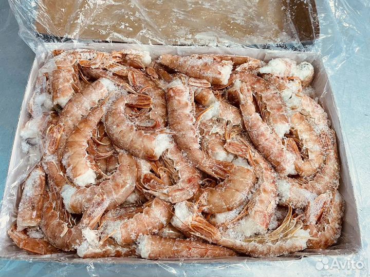 Лангустины креветки С1