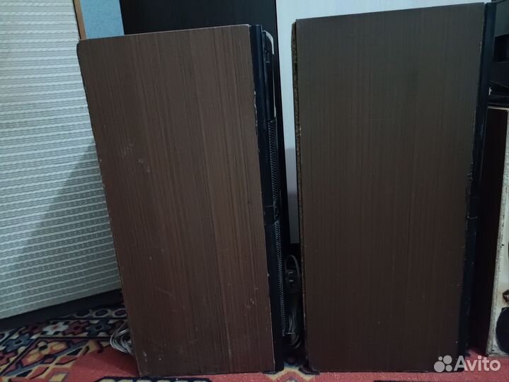 Акустическая система Вега 50ас-106