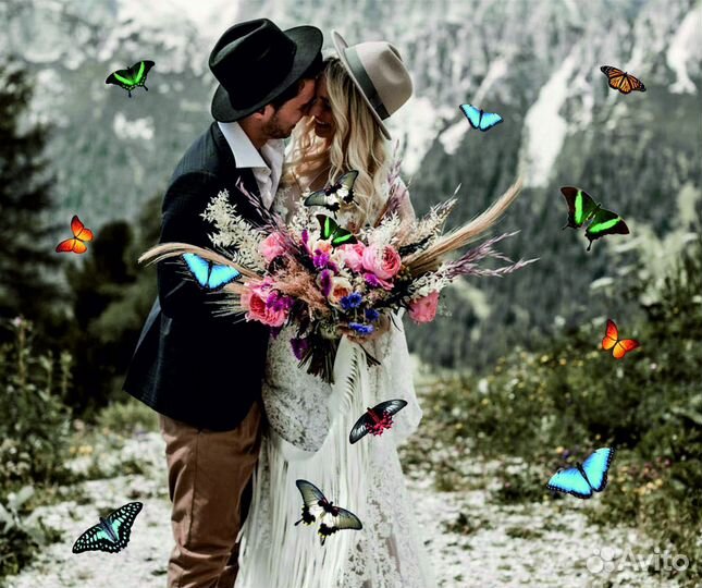 Салют из 20 Живых Тропических Бабочек с/б-318