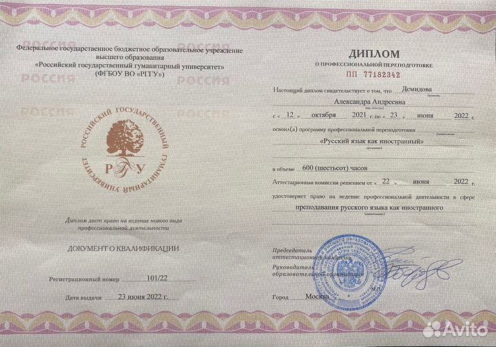 Русский язык как иностранный