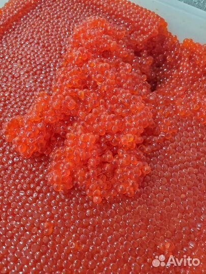 Икра красная Горбуши Нерки Кеты Форели куб оптом