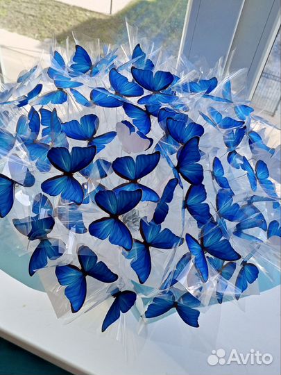 Букеты цветы из бабочек