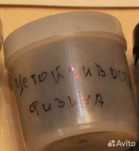 Устойчивость. 8 кл. Физика. Ну погоди Диафильм