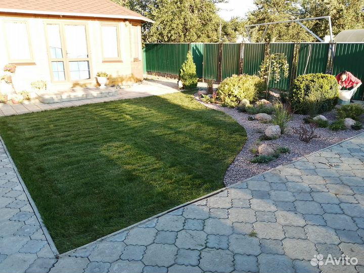 Рулонный газон