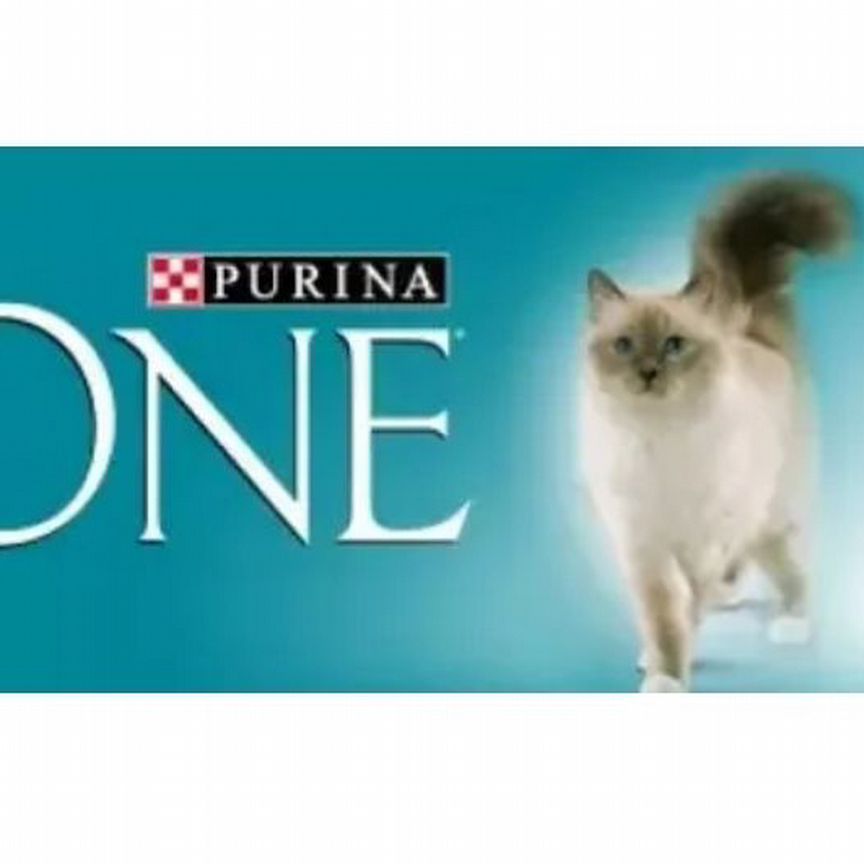 Влажный корм для кошек Purina one