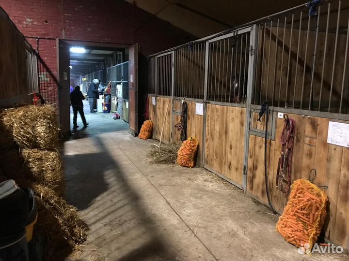 Постой для лошадей север мо