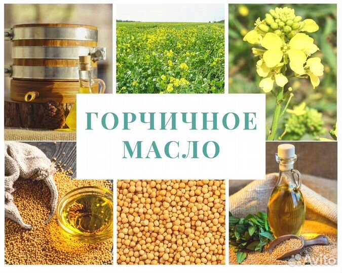 Сыродавленное Горчичное масло