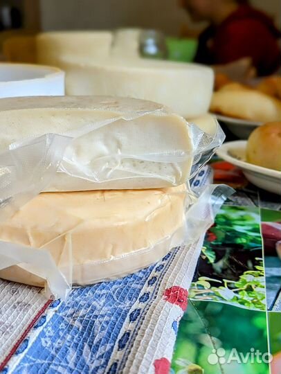 Сыр домашний козий