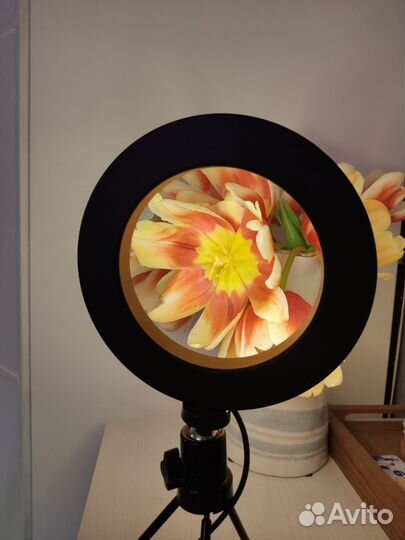 Лампа кольцевая