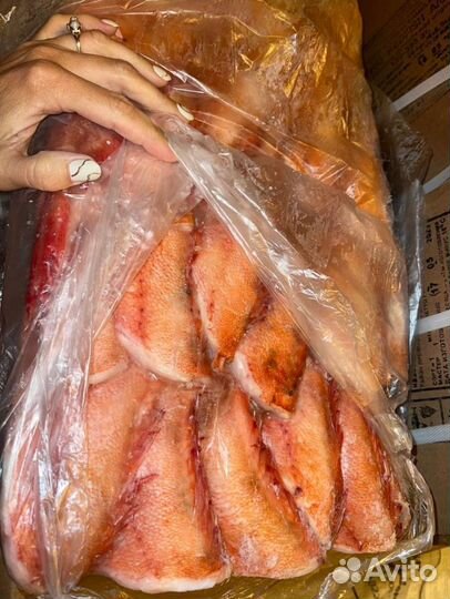 Окунь морской