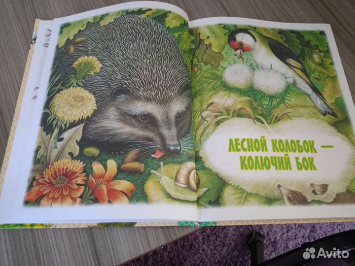 Книги о животных