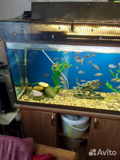 Аквариум с тумбой
